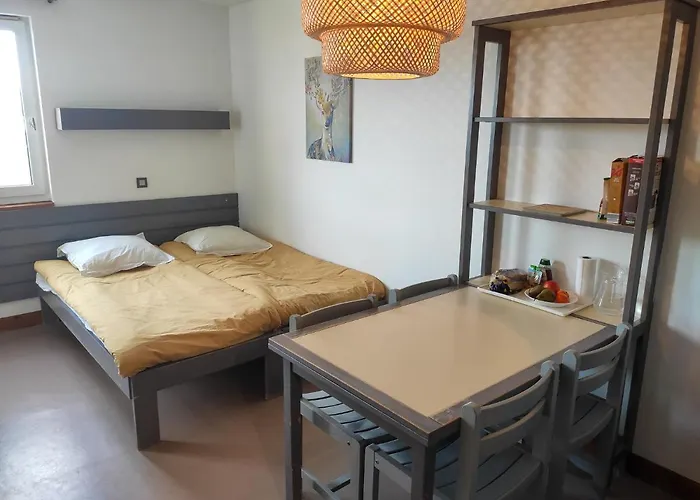 Val Louron Pied Des Pistes 34 M² 5 Pers Génos